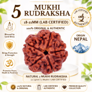 5 Mukhi Rudraksha Size 18-21 mm (Certified)