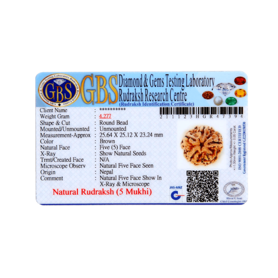5 Mukhi Rudraksha Size 25.64 mm (Certified) Rudraksha, Buy 5 Mukhi Rudraksha , 5 Mukhi Rudraksha from Nepal image