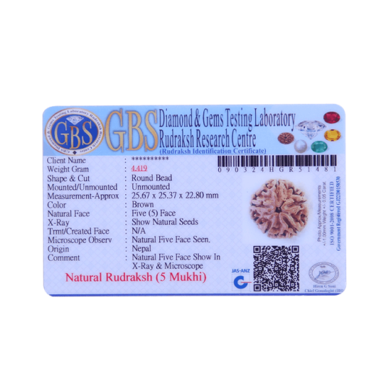 5 Mukhi Rudraksha Size 26.20 mm (Certified) image