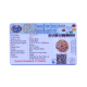 5 Mukhi Rudraksha Size 26.20 mm (Certified) image