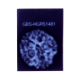 5 Mukhi Rudraksha Size 26.20 mm (Certified) image