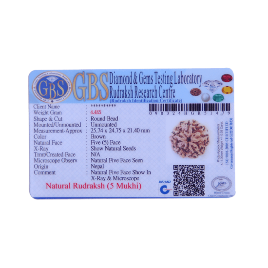 5 Mukhi Rudraksha Size 26.70 mm (Certified) image