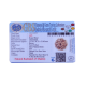 5 Mukhi Rudraksha Size 26.70 mm (Certified) image