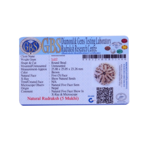 5 Mukhi Rudraksha Size 27.37 mm (With Lab Certificate) image