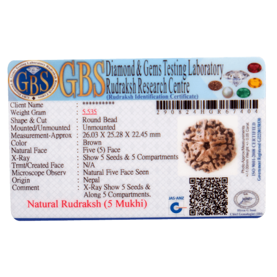 5 Mukhi Rudraksha Size 26.70 mm (Certified) image