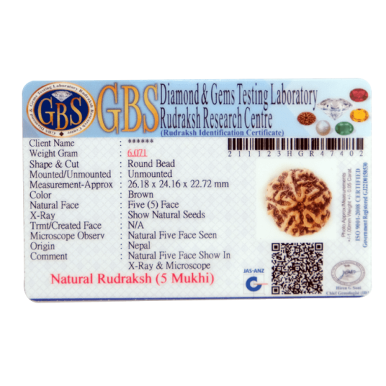 5 Mukhi Rudraksha Size 26.40 mm (Certified) 4.74gms Rudraksha, Buy 5 Mukhi Rudraksha , 5 Mukhi Rudraksha from Nepal image