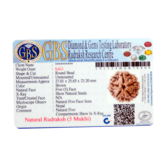 5 Mukhi Rudraksha Size 27.37 mm (With Lab Certificate) image