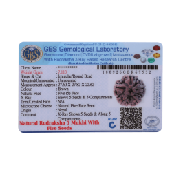 5 Mukhi Rudraksha Size 27.82 mm (Certified)