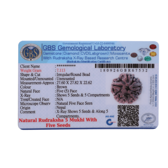5 Mukhi Rudraksha Size 22.20 mm (Certified) Rudraksha, Buy 5 Mukhi Rudraksha , 5 Mukhi Rudraksha from Nepal image