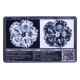 5 Mukhi Rudraksha Size 25.19 mm (Certified) image