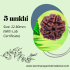 5 Mukhi Rudraksha Size 22.80 mm (Certified)