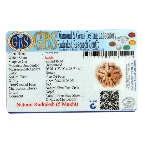 5 Mukhi Rudraksha Size 26.40 mm (Certified) 5.610gms image