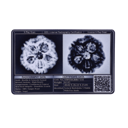 5 Mukhi Rudraksha Size 28.02 mm (Certified)