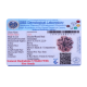 5 Mukhi Rudraksha Size 24.17 mm (Certified) image