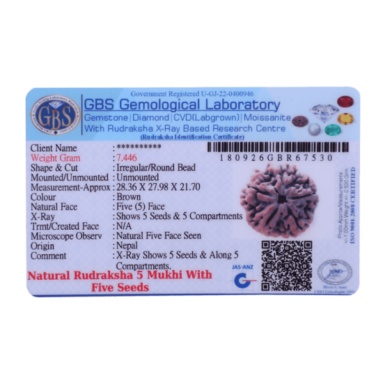 5 Mukhi Rudraksha Size 27.64 mm (With Lab Certificate) image