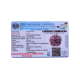 5 Mukhi Rudraksha Size 26.09 mm (Certified) image