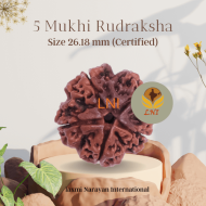 5 Mukhi Rudraksha Size 26.18 mm (Certified)