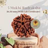 5 Mukhi Rudraksha Size 26.50 mm (Certified)