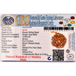 5 Mukhi Rudraksha Mala 1+54 beads (Certified) 54.525gms