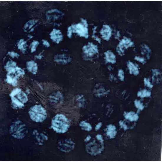 5 Mukhi Rudraksha Mala