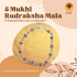 5 Mukhi Rudraksha Bracelet 12 beads(With Lab Certificate)