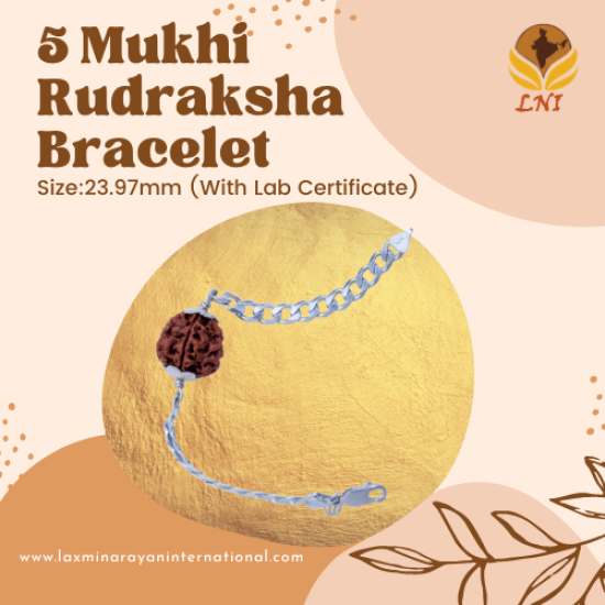 5 Mukhi Rudraksha Bracelet Size:23.97mm (With Lab Certificate)
