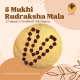 5 Mukhi Rudraksha Mala 27 beads (Certified) 108.59gms