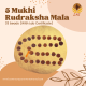 5 Mukhi Rudraksha Mala 33 beads (With Lab Certificate)