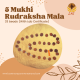 5 Mukhi Rudraksha Mala 33 beads (Certified)