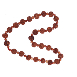 6 Mukhi Rudraksha Mala 27 Beads (With Lab Certificate)