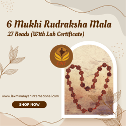 6 Mukhi Rudraksha Mala 27 Beads (With Lab Certificate)