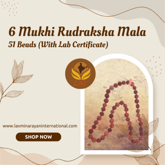6 Mukhi Rudraksha Mala 51 Beads (With Lab Certificate)