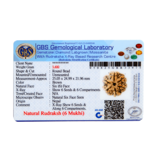 6 Mukhi Size 23.57 mm (Certified) image