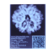 6 Mukhi Size 23.57 mm (Certified) image