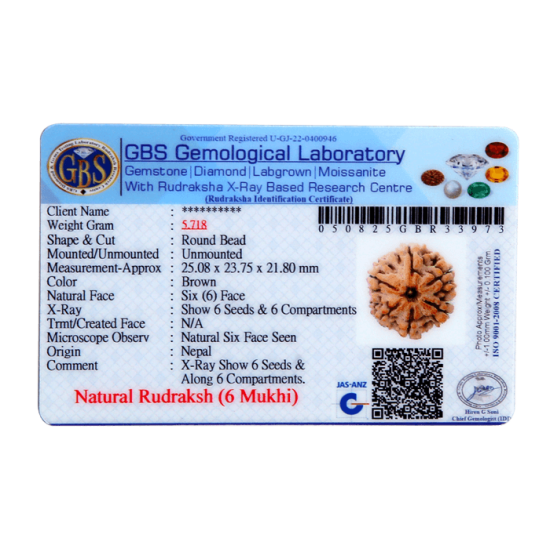 6 Mukhi Size 24.11 mm (Certified) Rudraksha, 6 Mukhi Rudraksha, 6 Mukhi Rudraksha from Nepal image