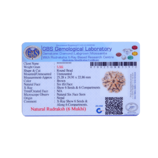 6 Mukhi Size 25.63 mm (Certified) Rudraksha, 6 Mukhi Rudraksha, 6 Mukhi Rudraksha from Nepal image