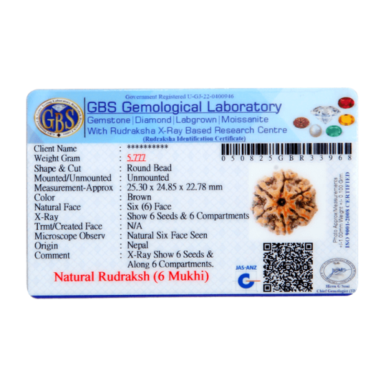 6 Mukhi Size 25.70 mm (Certified) image