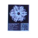 6 Mukhi Size 25.70 mm (Certified) image