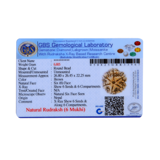 6 Mukhi Size 27.37 mm (Certified)(6 seeds in X-ray) image