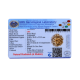 6 Mukhi Size 27.37 mm (Certified)(6 seeds in X-ray) image
