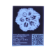6 Mukhi Size 27.17 mm (Certified)(6 seeds in X-ray) Rudraksha, 6 Mukhi Rudraksha, 6 Mukhi Rudraksha from Nepal image