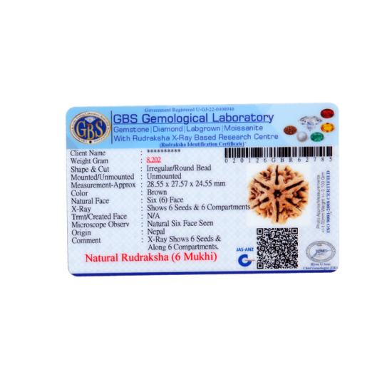 6 Mukhi Size 27.10 mm (Certified)(6 Seeds in X-ray) image
