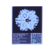 6 Mukhi Size 27.10 mm (Certified)(6 Seeds in X-ray) image