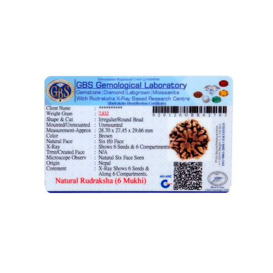 6 Mukhi Size 29.66 mm (Certified)