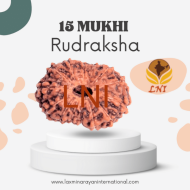 15 Mukhi Rudraksha Size: 14-18 mm (With Lab Certificate)
