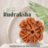 4 Mukhi Rudraksha Size: 17-20mm (Certified)