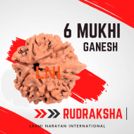 6 Mukhi Ganesh Rudraksha 17-20mm (With Lab Certificate)