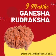 9 Mukhi Ganesha Rudraksha Size 24.98 mm (With Lab Certificate)