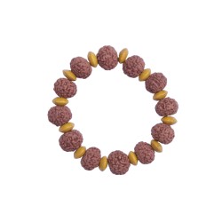 7 Mukhi Bracelet 12 beads (Certified) 16-17g