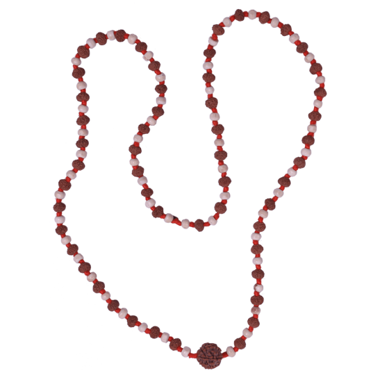 7 Mukhi Rudraksha Mala 54 beads (Certified) 19.30gms